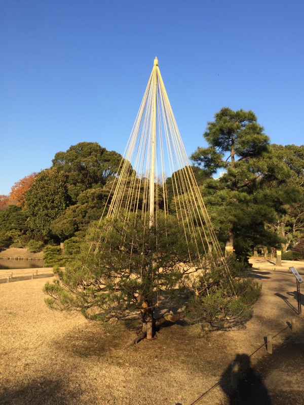 Carnet de voyage Japon et photo by CéWax - Jardin Rikugien Tokyo